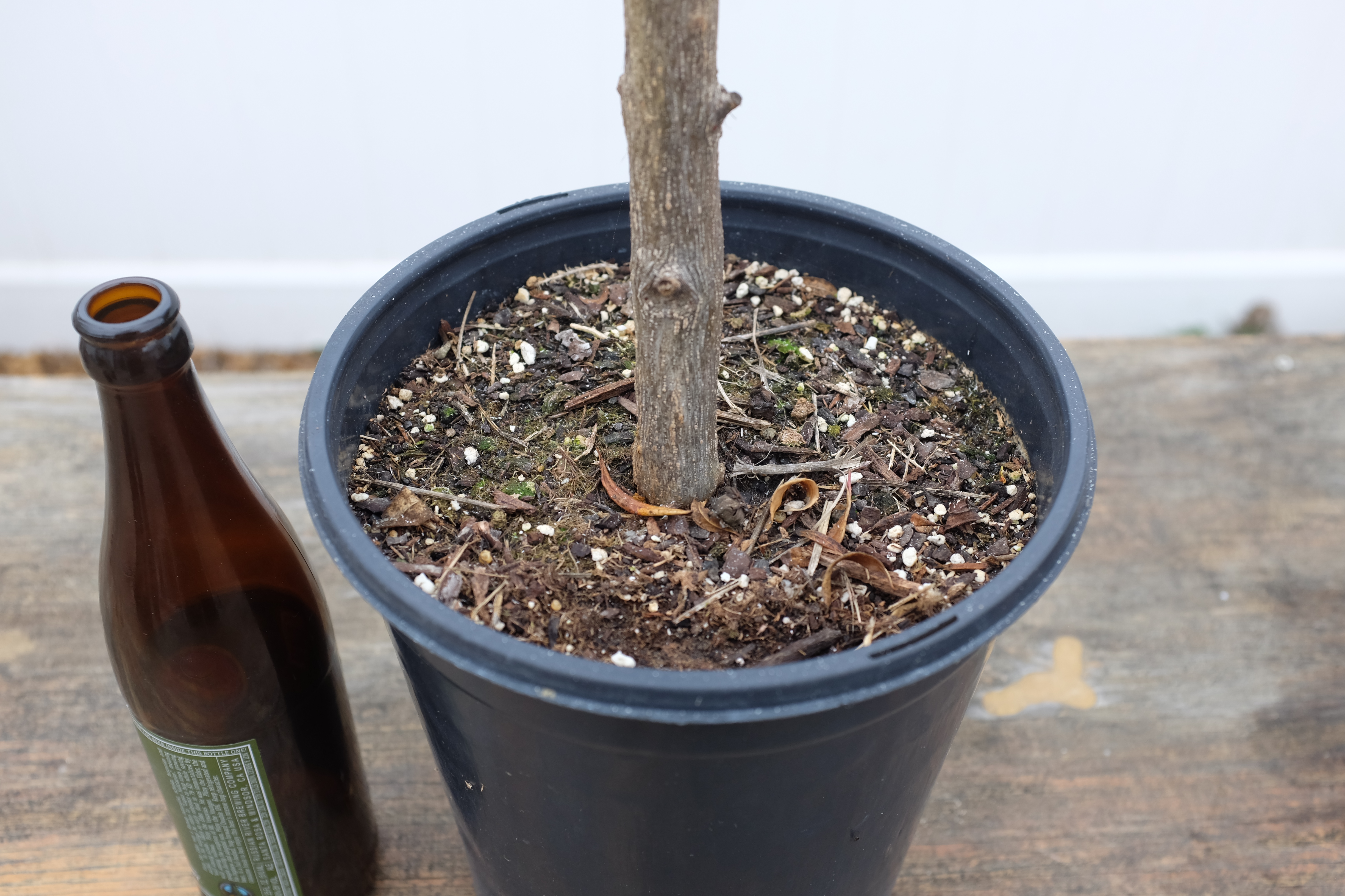 p-granatum air layer 1 photo 5